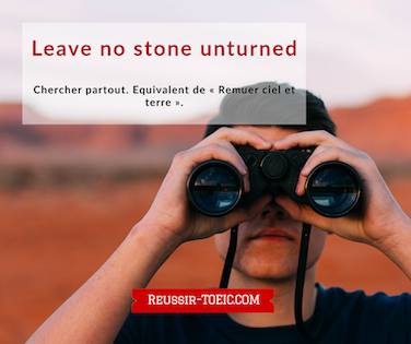  Leave no stone unturned 